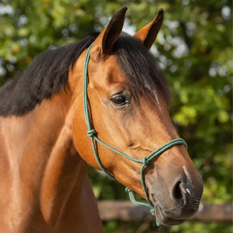 QHP Basic Rope Headcollar - Dark Green-1