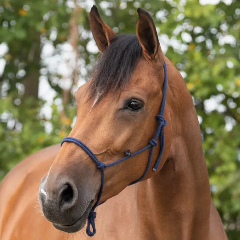 QHP Basic Rope Headcollar - Navy-1