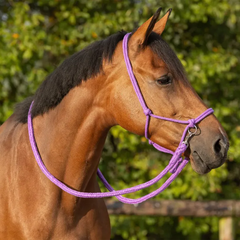 QHP Free Riding Rope Halter with Reins - Passion Flower-1