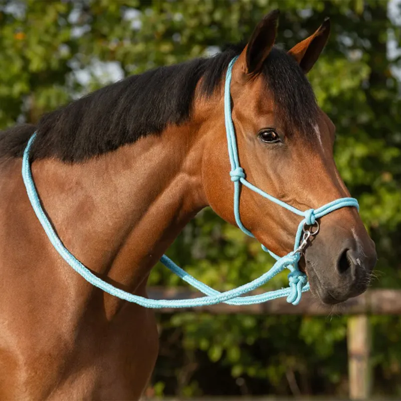 QHP Free Riding Rope Halter with Reins - Sky-1