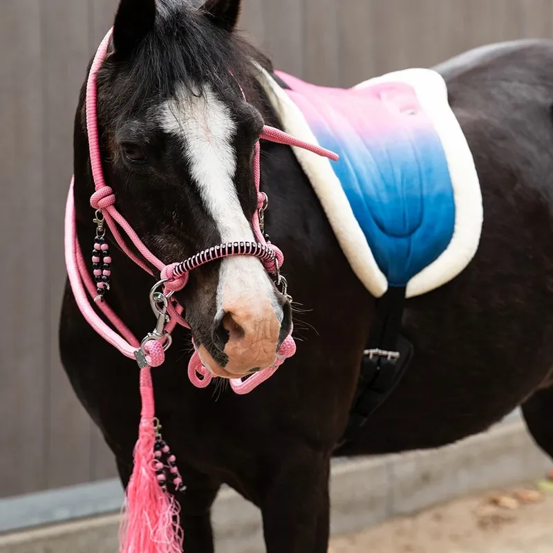 QHP Rosalynn Bareback Pad - Pink/Blue-2