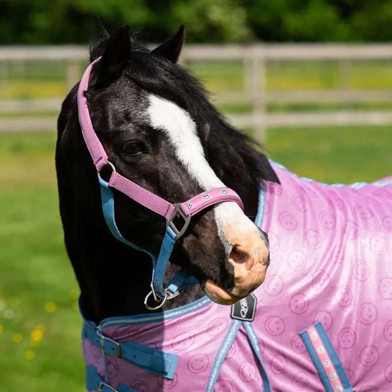 QHP Rosalynn Headcollar and Leadrope - Pink/Blue-1