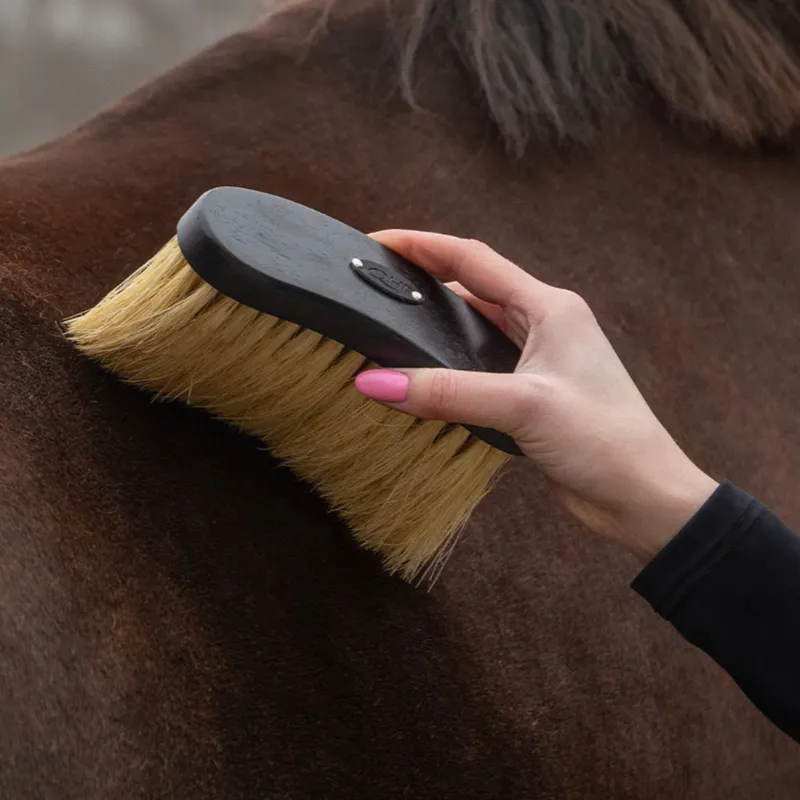 QHP Royal Grooming Set - Black-11