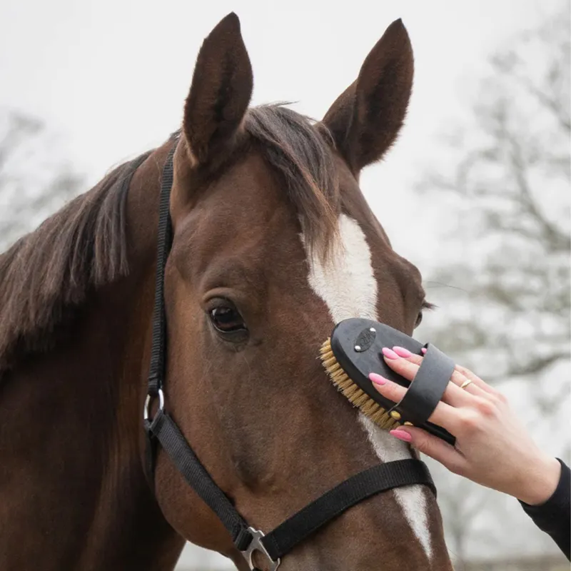 QHP Royal Grooming Set - Black-9