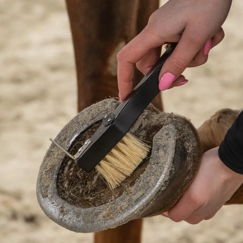 QHP Royal Grooming Set - Black-4