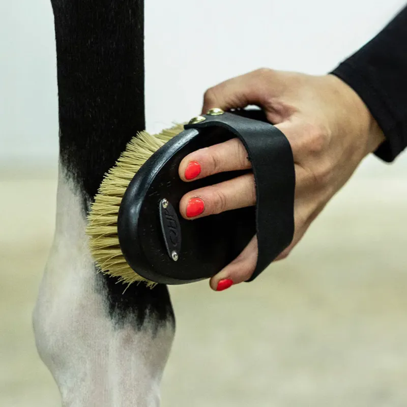 QHP Royal Grooming Set - Black-6