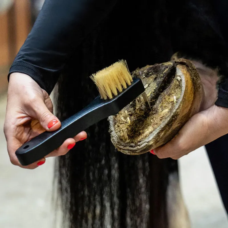 QHP Royal Grooming Set - Black-3