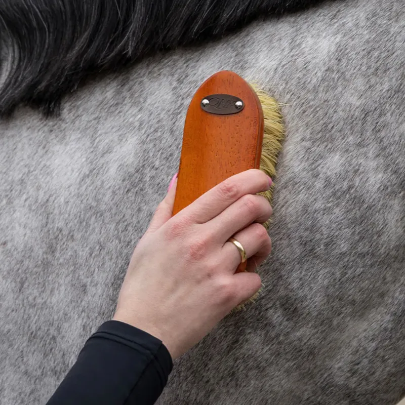 QHP Royal Grooming Set - Dark Brown-8