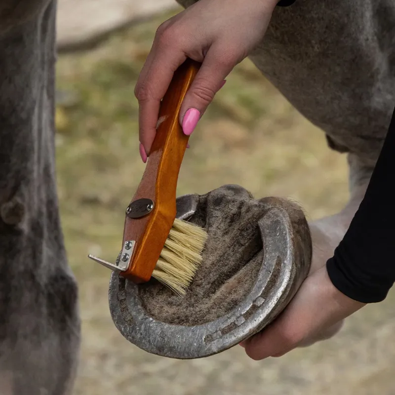 QHP Royal Grooming Set - Dark Brown-4