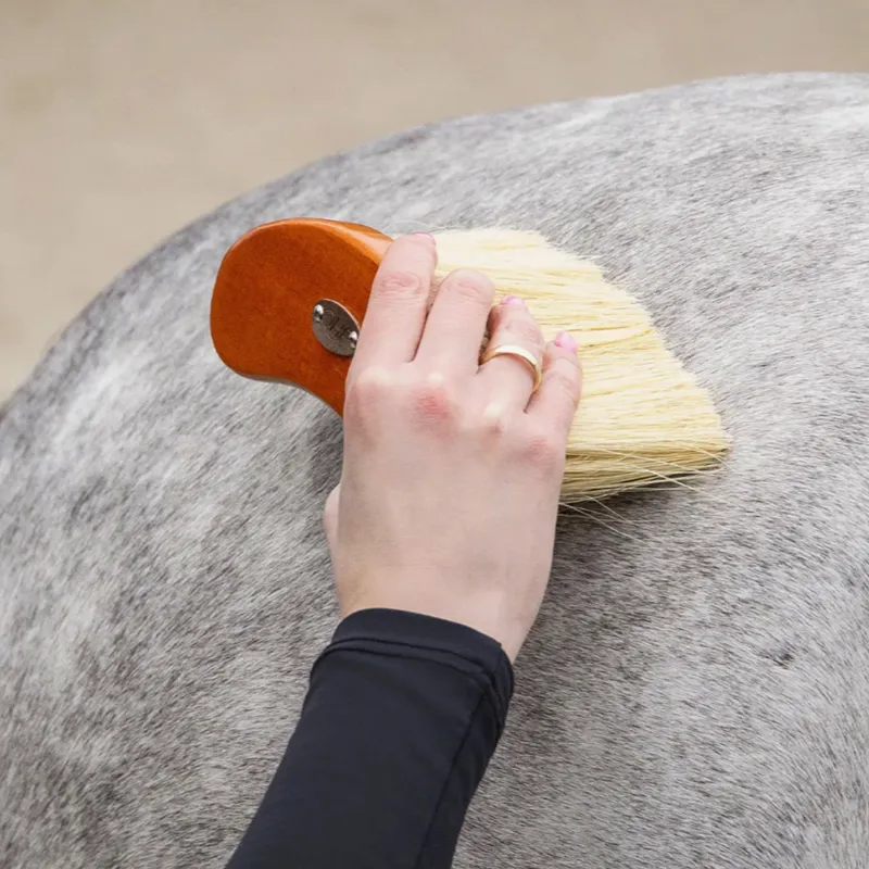 QHP Royal Grooming Set - Dark Brown-3