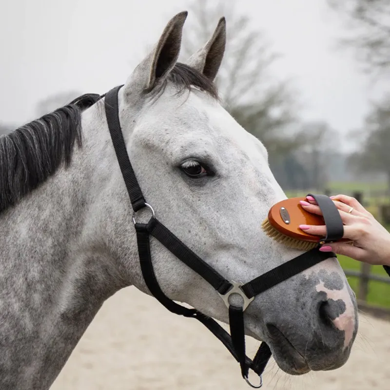 QHP Royal Grooming Set - Dark Brown-7