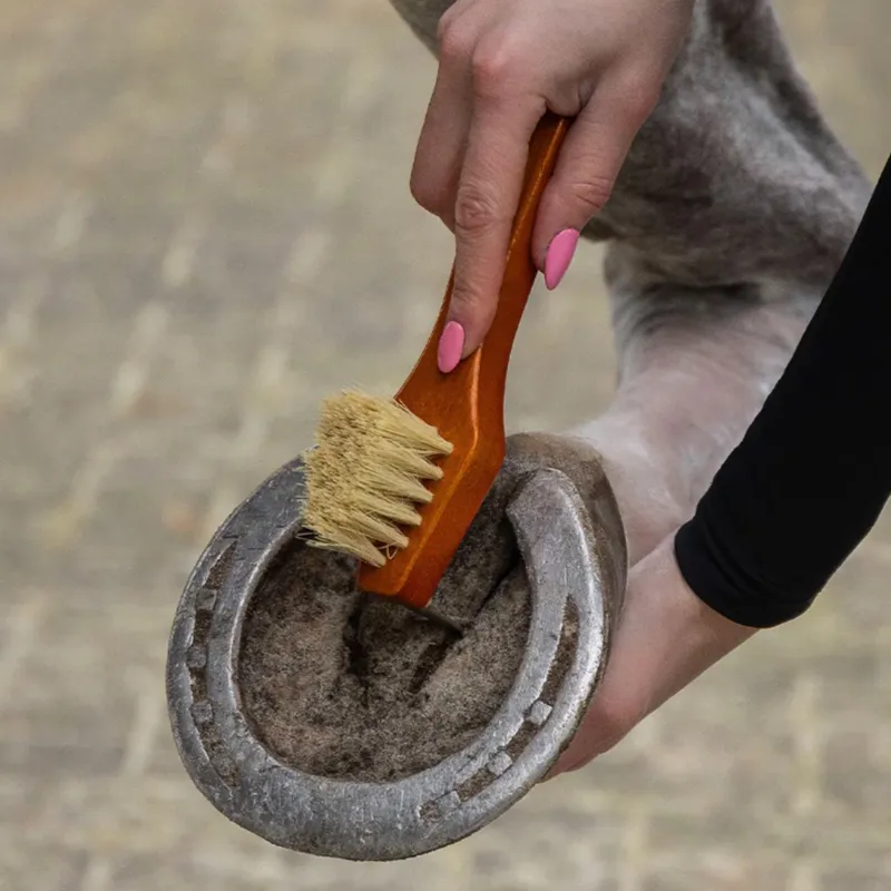 QHP Royal Grooming Set - Dark Brown-5