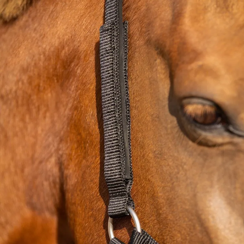 QHP Safety Lined Headcollar - Black-6
