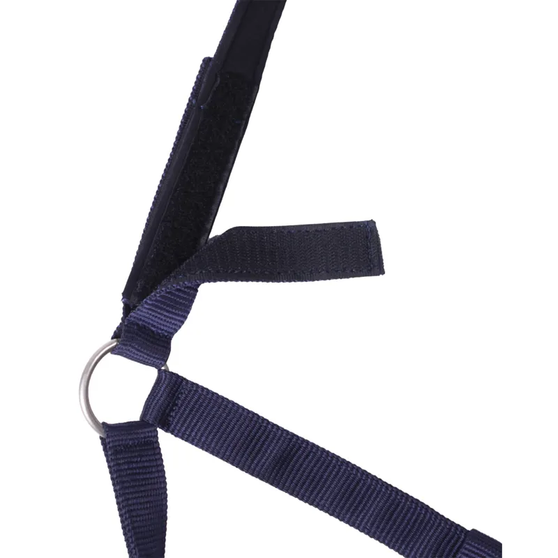 QHP Safety Lined Headcollar - Blue-1