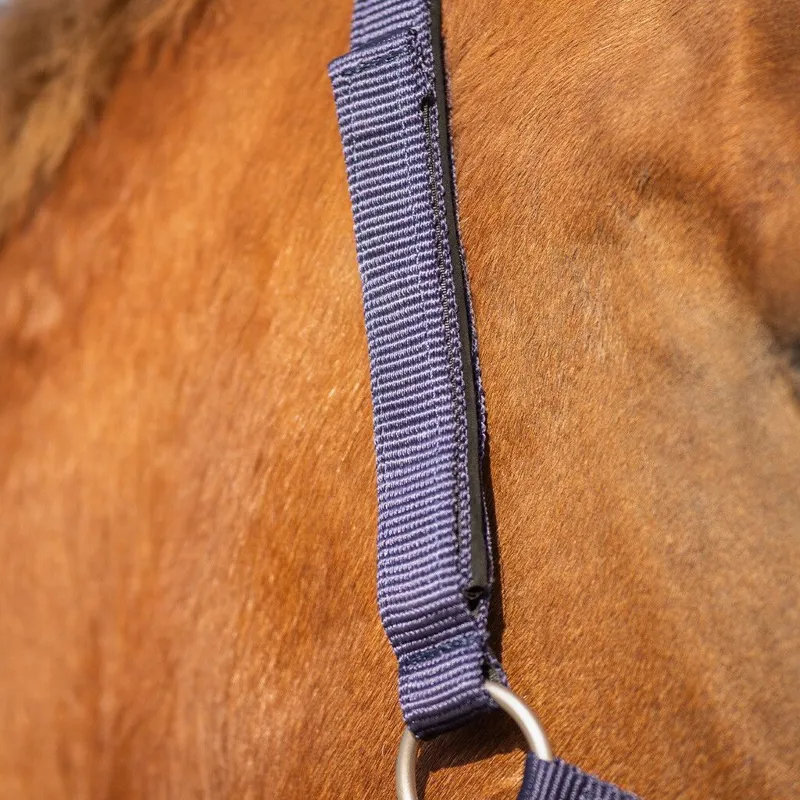 QHP Safety Lined Headcollar - Blue-5