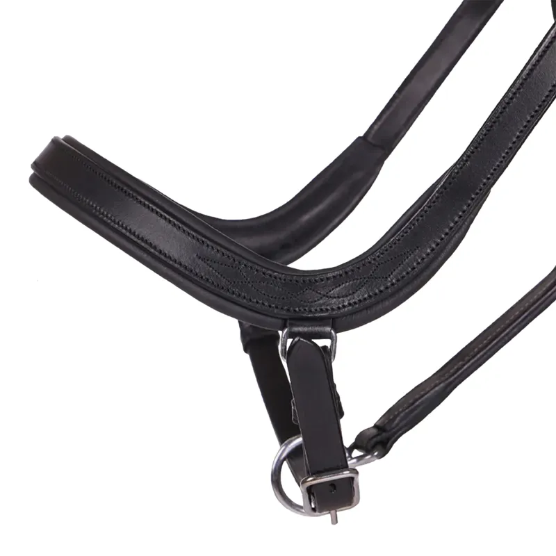 QHP Salerno Anatomic Leather Headcollar - Black-1