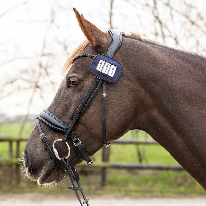 QHP Shine Number Holder - Black-2