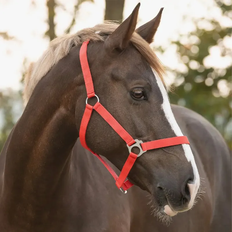 QHP Slide Headcollar - Bright Red-1