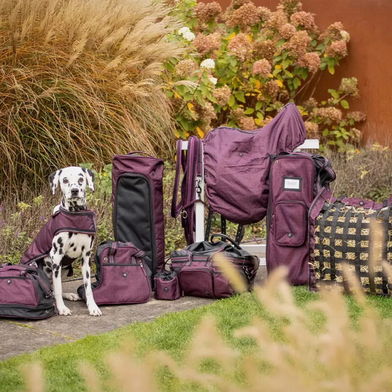 QHP Turnout Collection SlowFeeder - Wine/Red-3