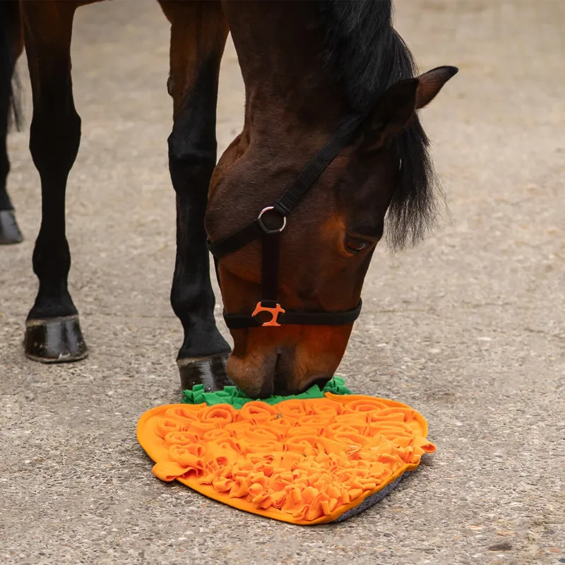 QHP Treat Snuffle Mat for Horses - Carrot-1