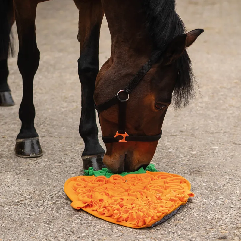 QHP Treat Snuffle Mat for Horses - Carrot-2