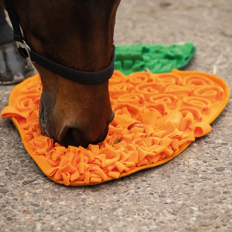 QHP Treat Snuffle Mat for Horses - Carrot-3