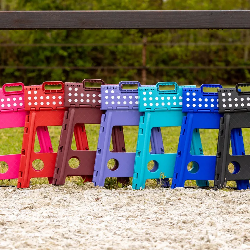 QHP Step-Up Stool - Fuchsia-2