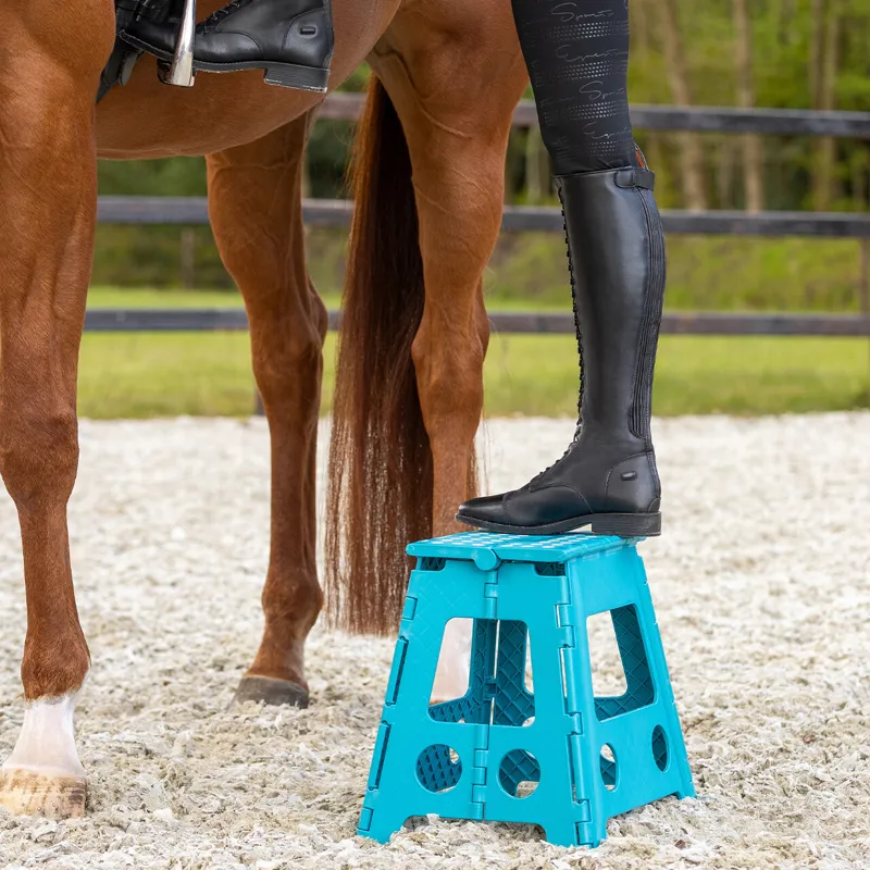 QHP Step-Up Stool - Turquoise-2