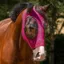 QHP Super Bug Fly Mask - Pink