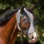 QHP Super Bug Fly Mask - Grey