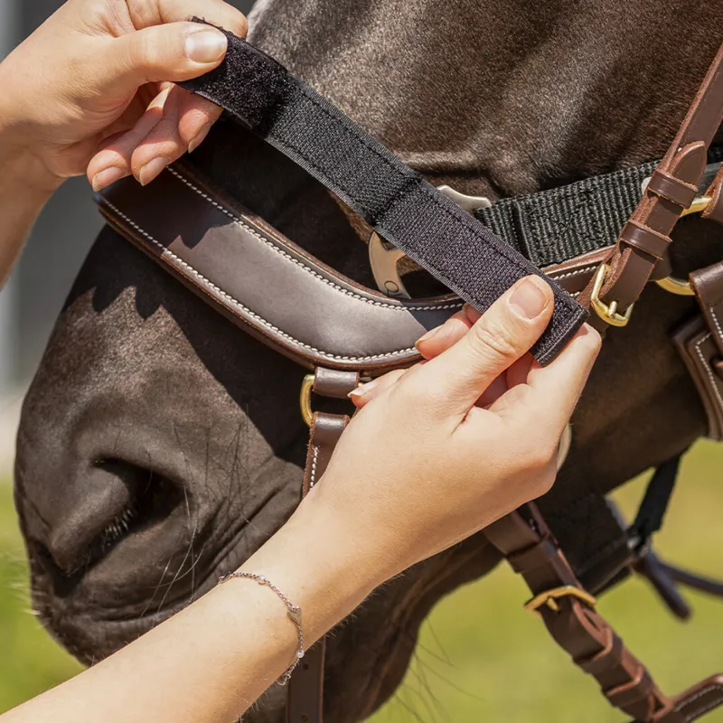 QHP Tack Up Headcollar - Black-2