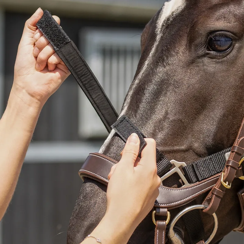 QHP Tack Up Headcollar - Black-3