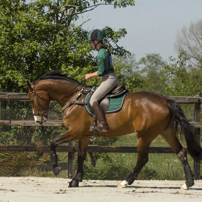 QHP Technical Eventing Tendon Boots - Black-3