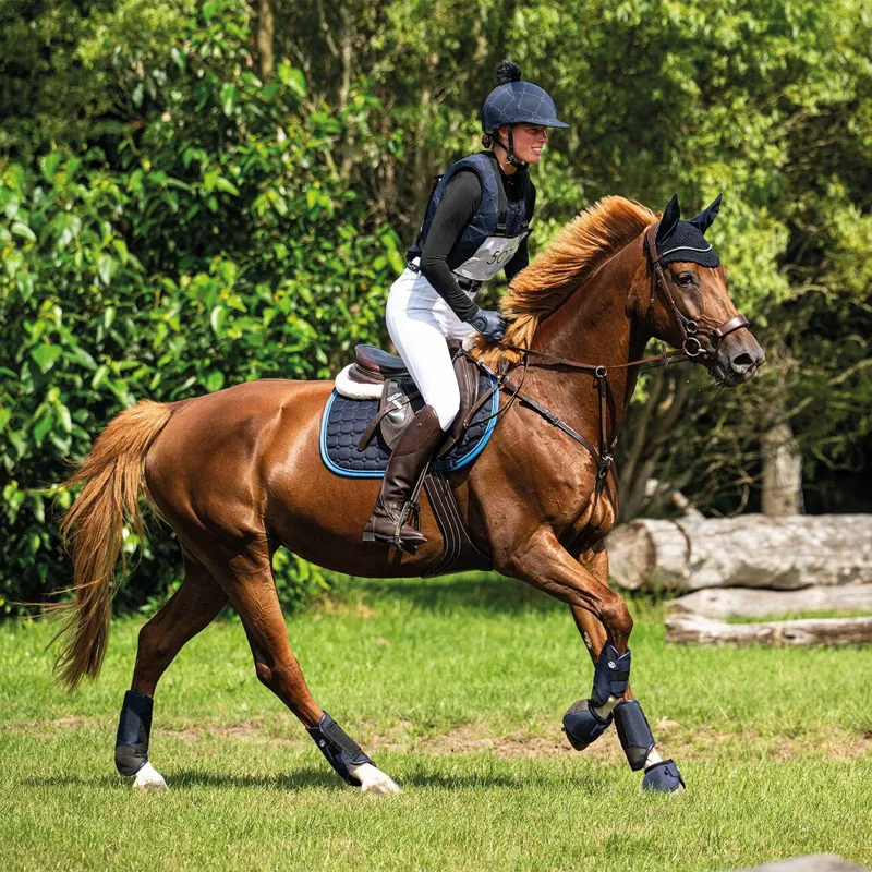 QHP Technical Eventing Tendon Boots - Navy-3