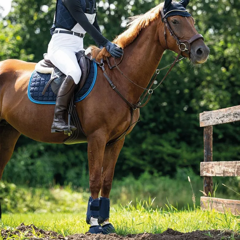 QHP Technical Eventing Fetlock Boots - Blue-3