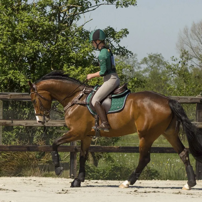 QHP Technical Eventing Fetlock Boots - Black-5