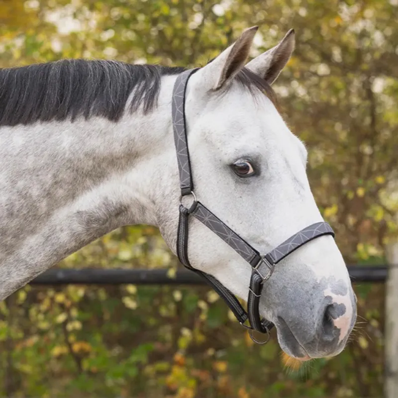QHP Turnout Collection Headcollar and Lead Rope Set - Grey Reflective-1