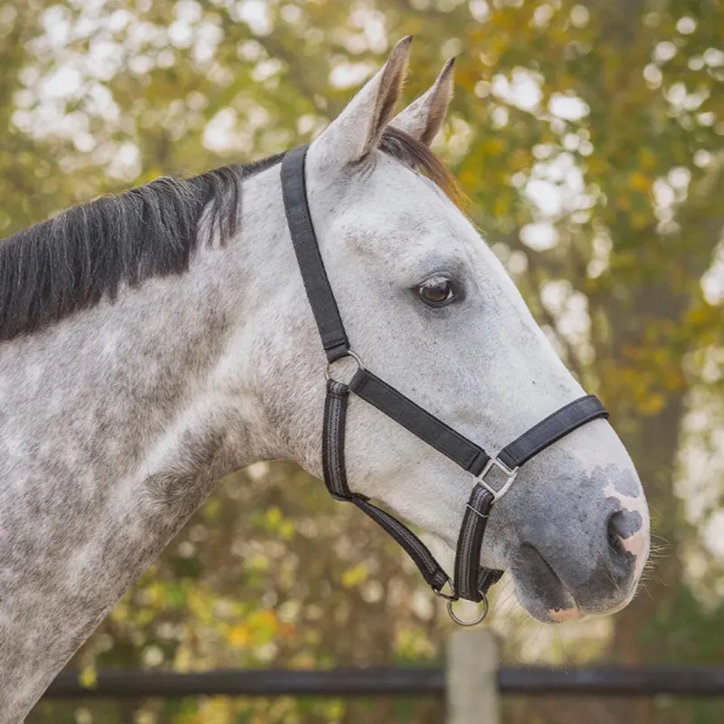 QHP Turnout Collection Headcollar and Lead Rope Set - Grey Reflective-2
