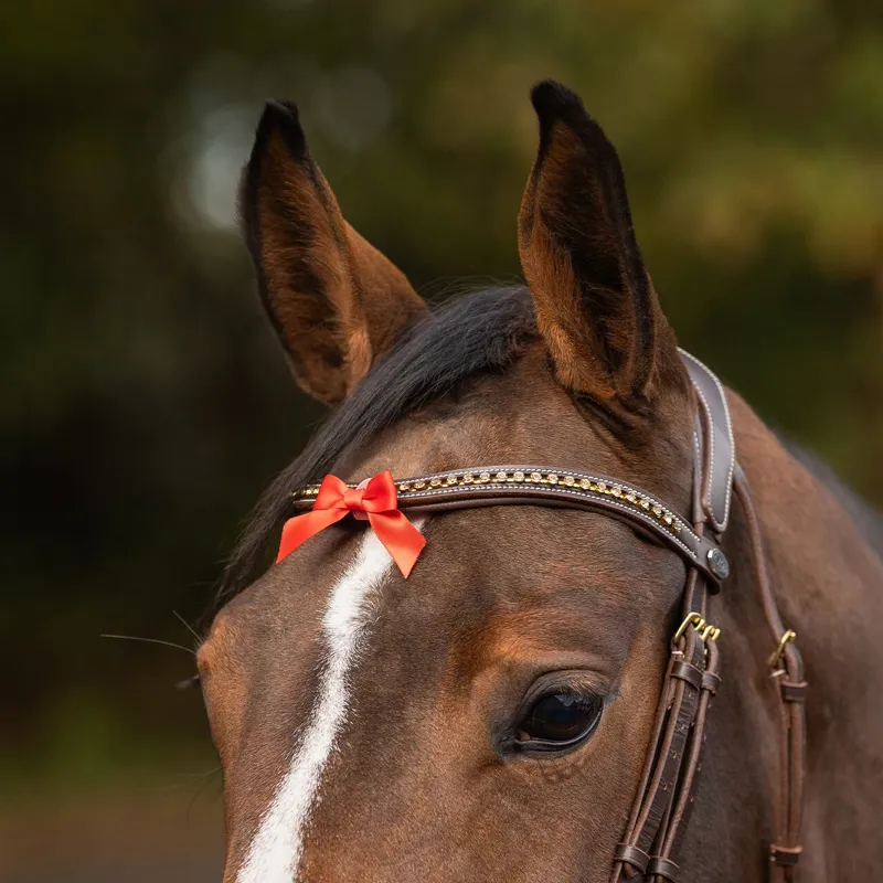 QHP Horse Warning Competition Bridle Bow - Red-2
