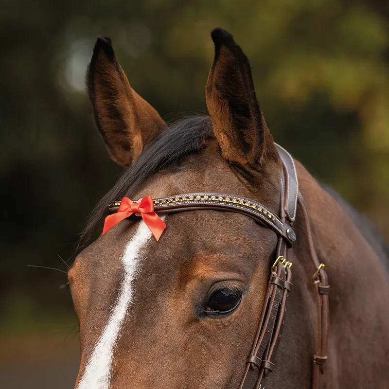 QHP Horse Warning Competition Bridle Bow - Red-3