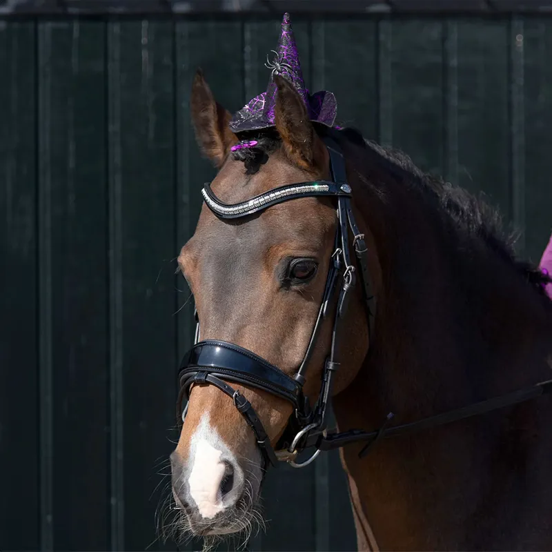 QHP Halloween Horse Bridle Witches Hat-2