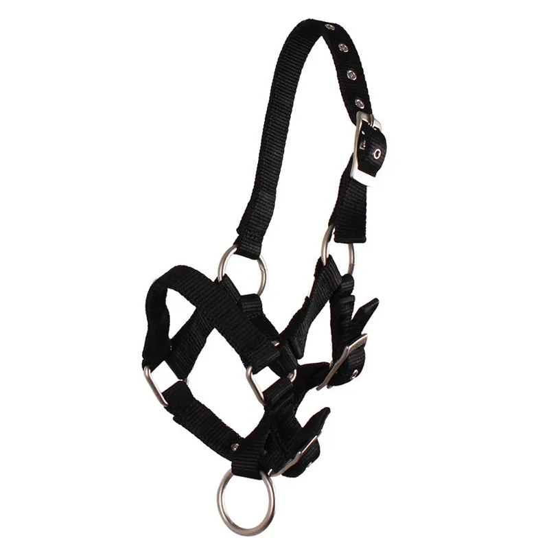 QHP Nylon Foal Headcollar - Black