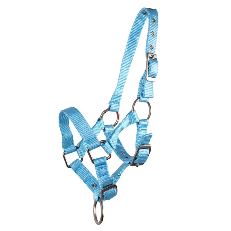 QHP Nylon Foal Headcollar - Light Blue