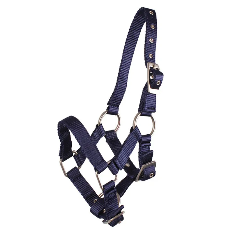 QHP Nylon Foal Headcollar - Navy