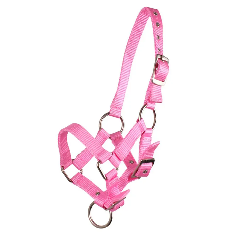QHP Nylon Foal Headcollar - Pink