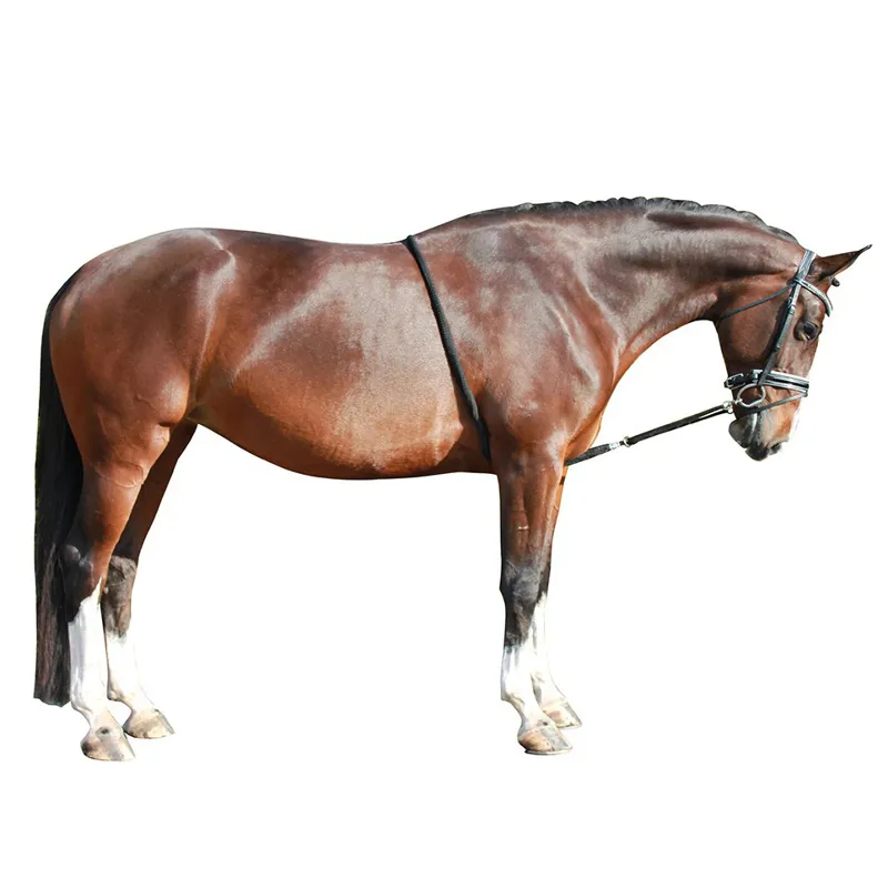 QHP Lunge Rope Aid - Black-1