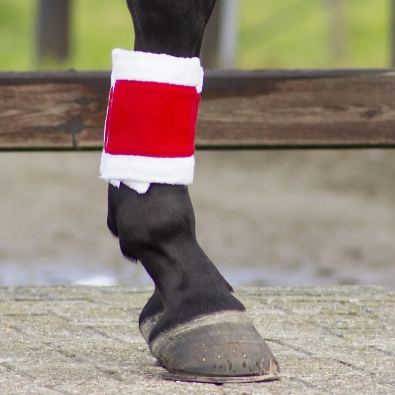 QHP Christmas Horse Leg Wraps-1