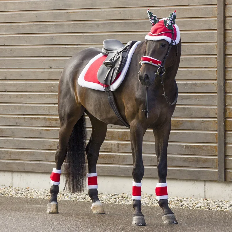 QHP Christmas Horse Leg Wraps-2