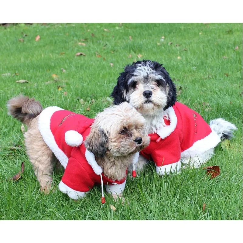 QHP Christmas Dog Coat-2