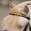 QHP Horse Crown for Bridle - Gold